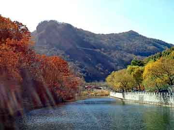 新澳天天开奖资料大全旅游团，酒精和水哪个密度大